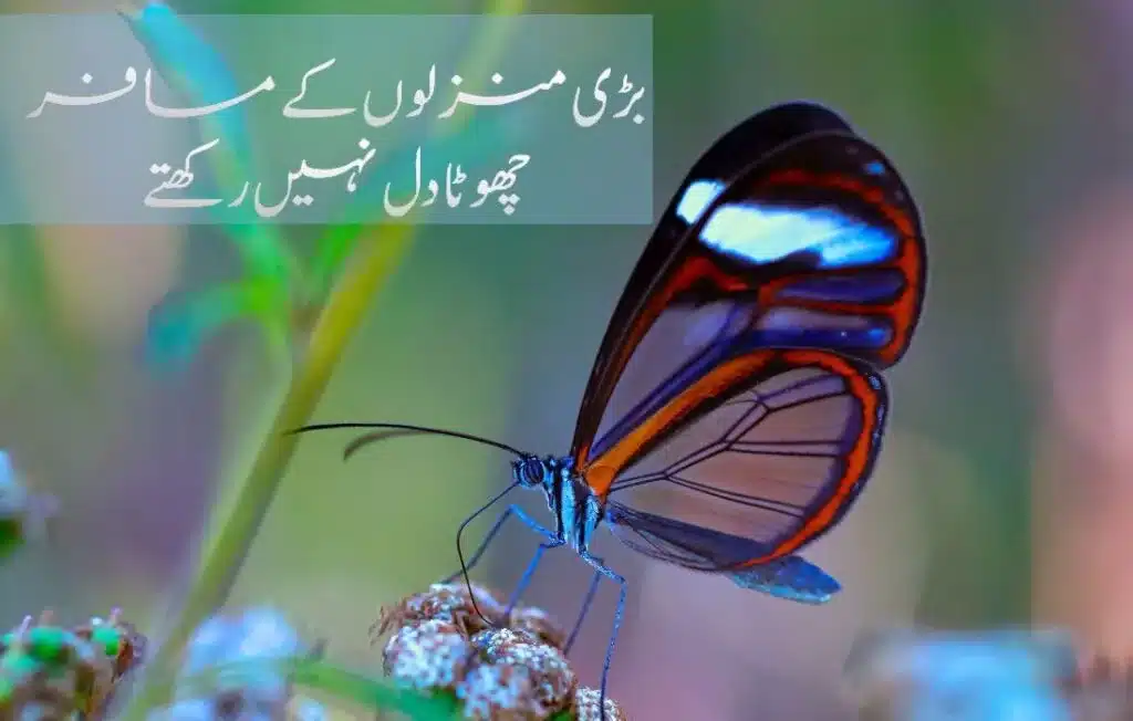 quotes in urdu