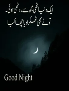 Urdu quotes