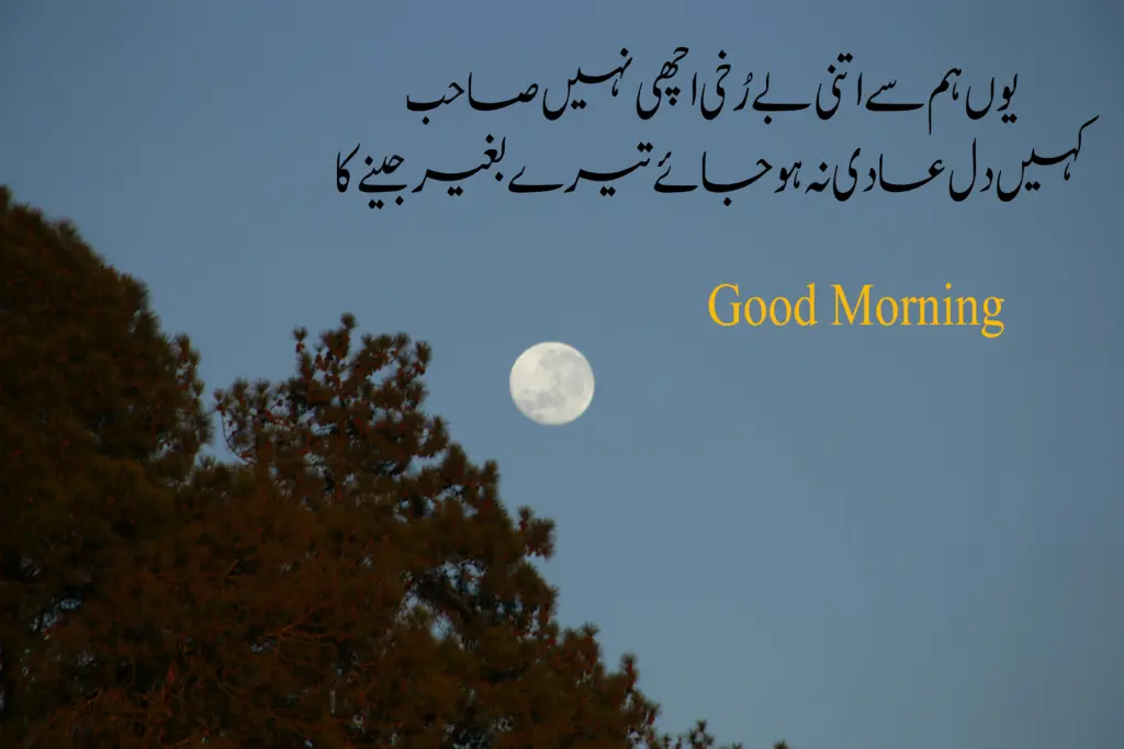 Urdu best quotes