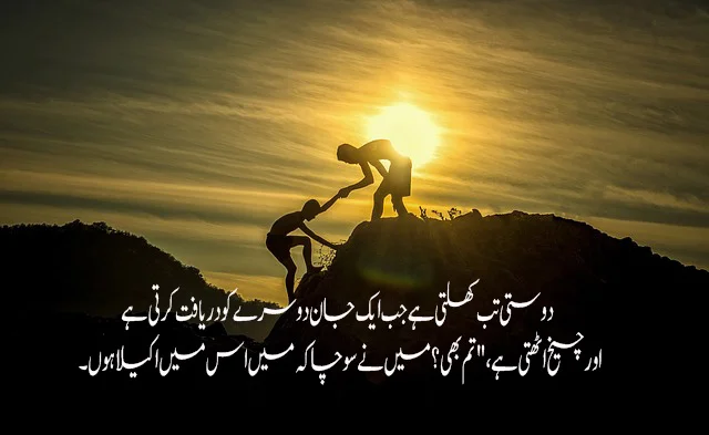 50 best friend quotes in urdu