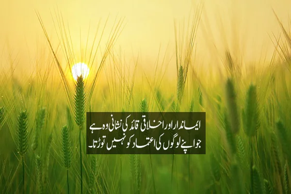 quotes in urdu