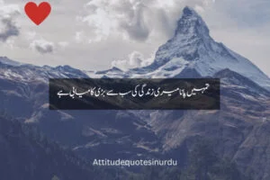 hearth touching love quotes in urdu