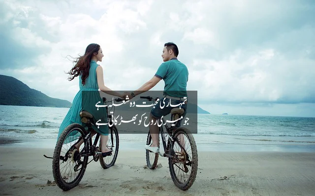 payar quotes in urdu