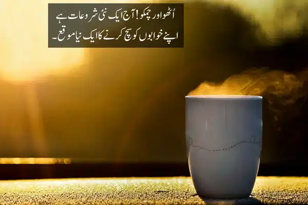 best Quotes in urdu