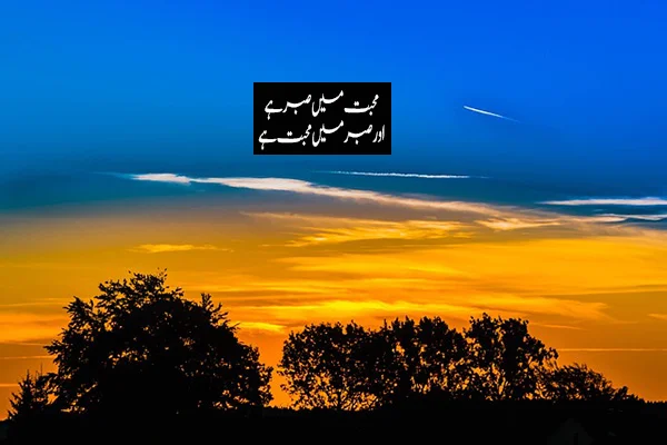 True Love Life Islamic Quotes in Urdu