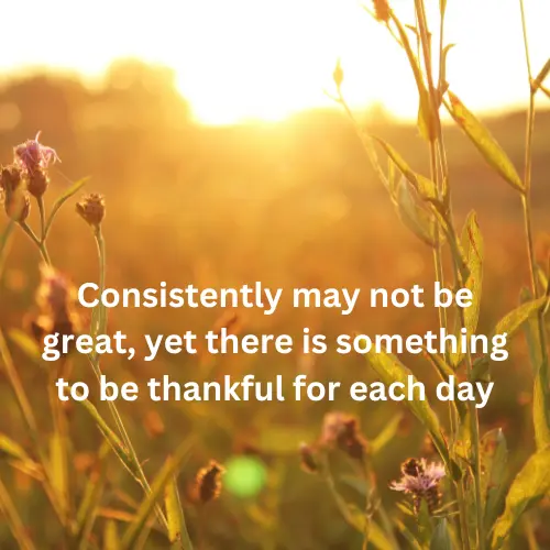 Consistently may not be great, yet there is something to be thankful for each day