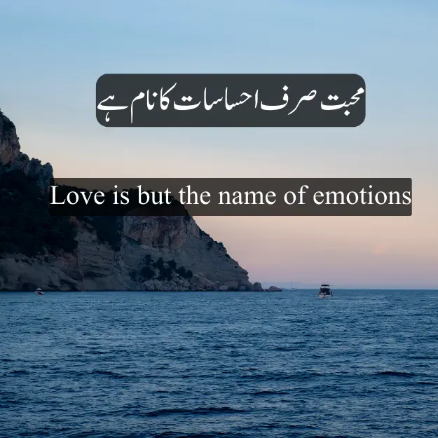 Love is but the name of emotions 2024