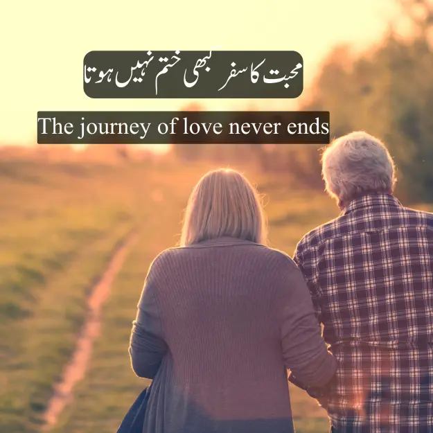 Love journey quotes in urdu Hindi 2024