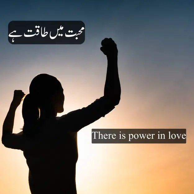 There is power in love.Power of love quotes in urdu